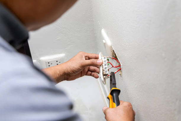 Best Electric Panel Repair  in Oxford, AL